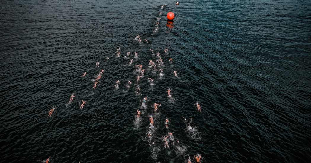 verschillende soorten triatlons en hun afstanden, van olympisch tot iron man, sprints, halve, of kwart triatlon